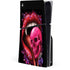Vampire Skull Lollypop by Sarah Richter PlayStation PS5 Skins